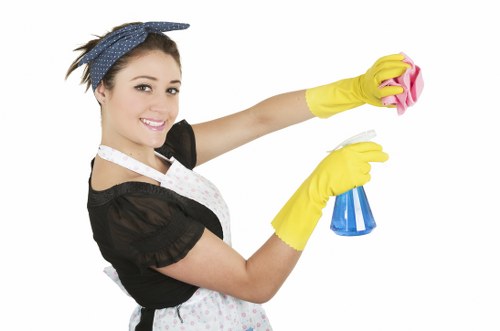 Experienced carpet cleaners handling high-traffic flooring in Beddington